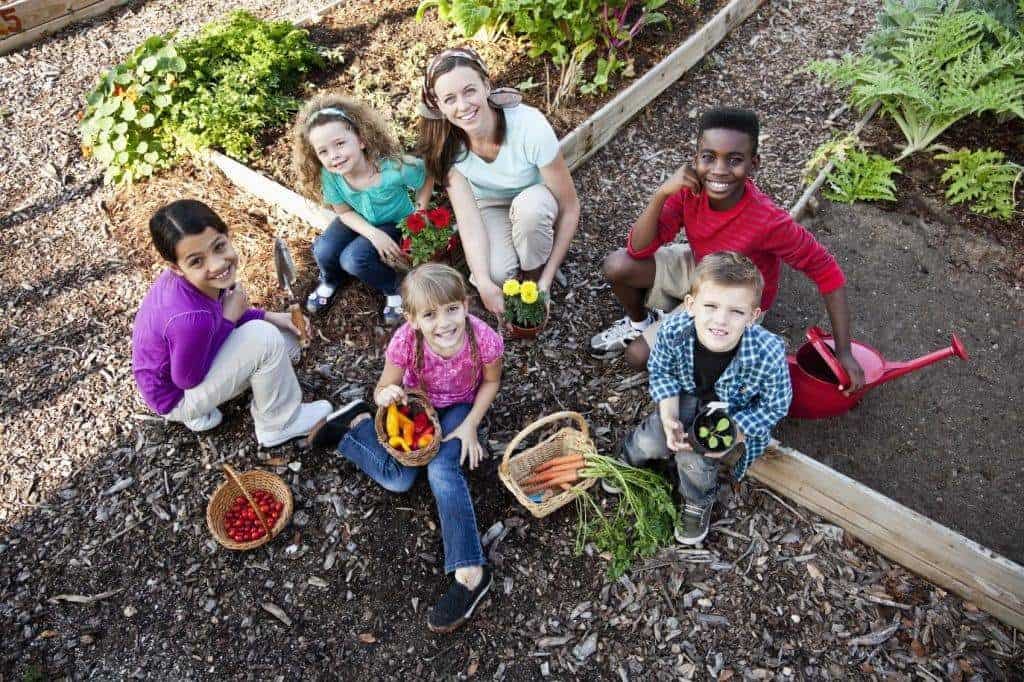 jardin communautaire