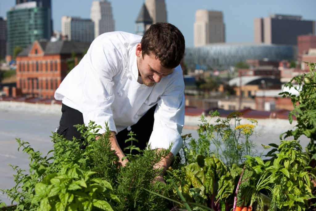 Agriculture urbaine