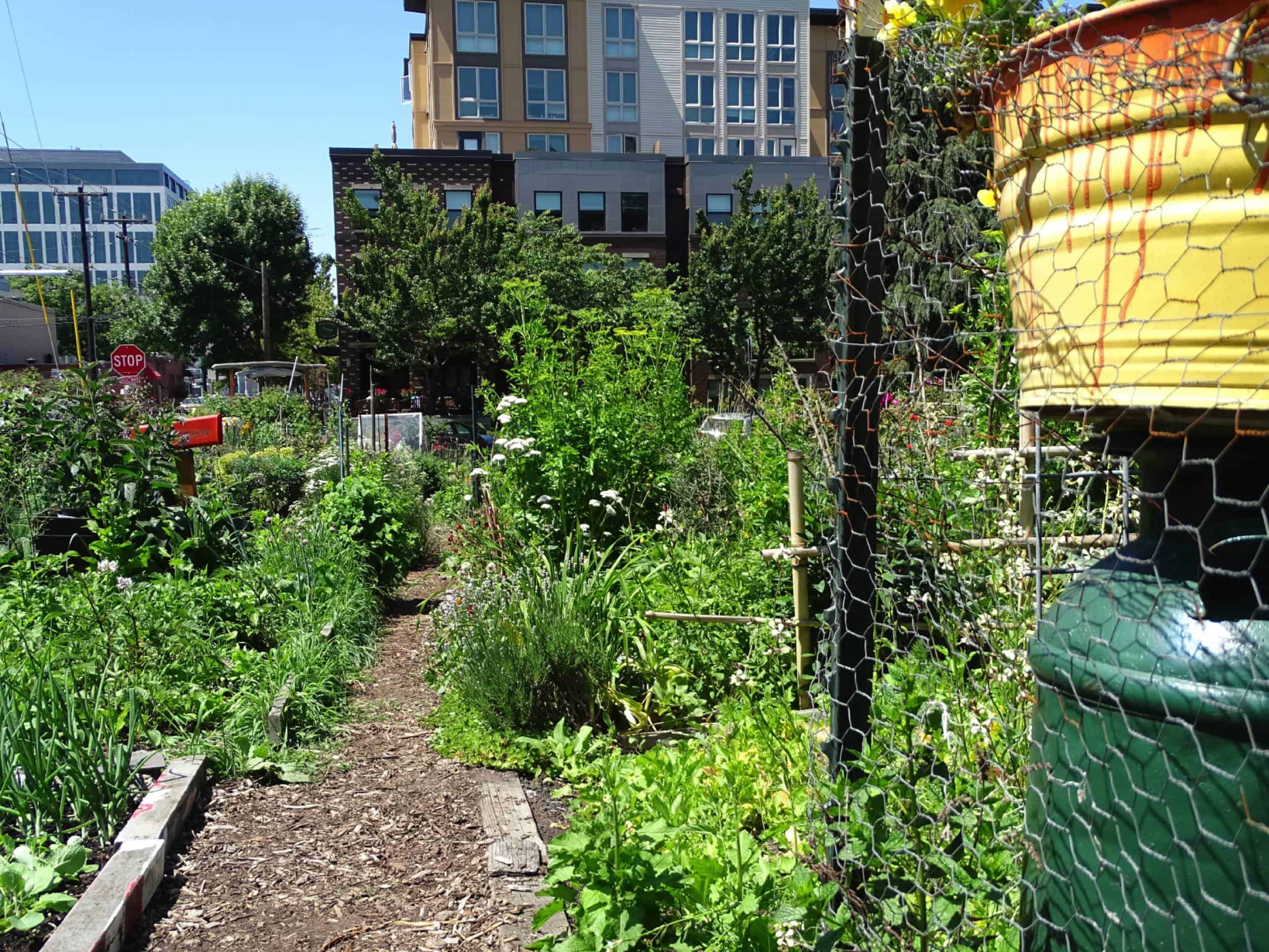 verdissement des espaces vacants