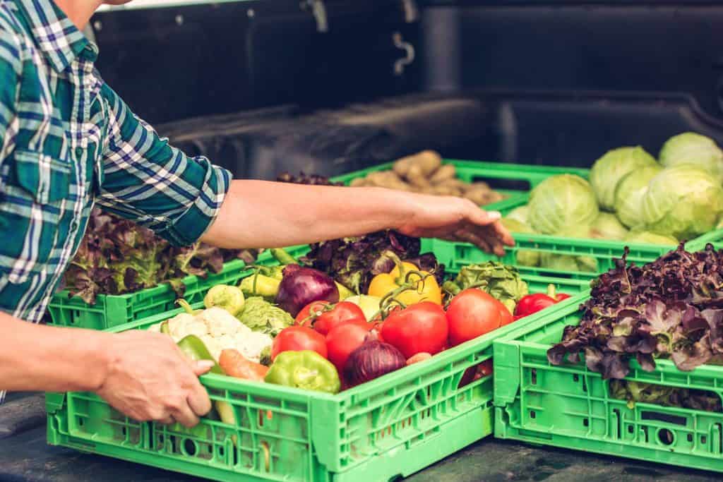 Panier de légumes