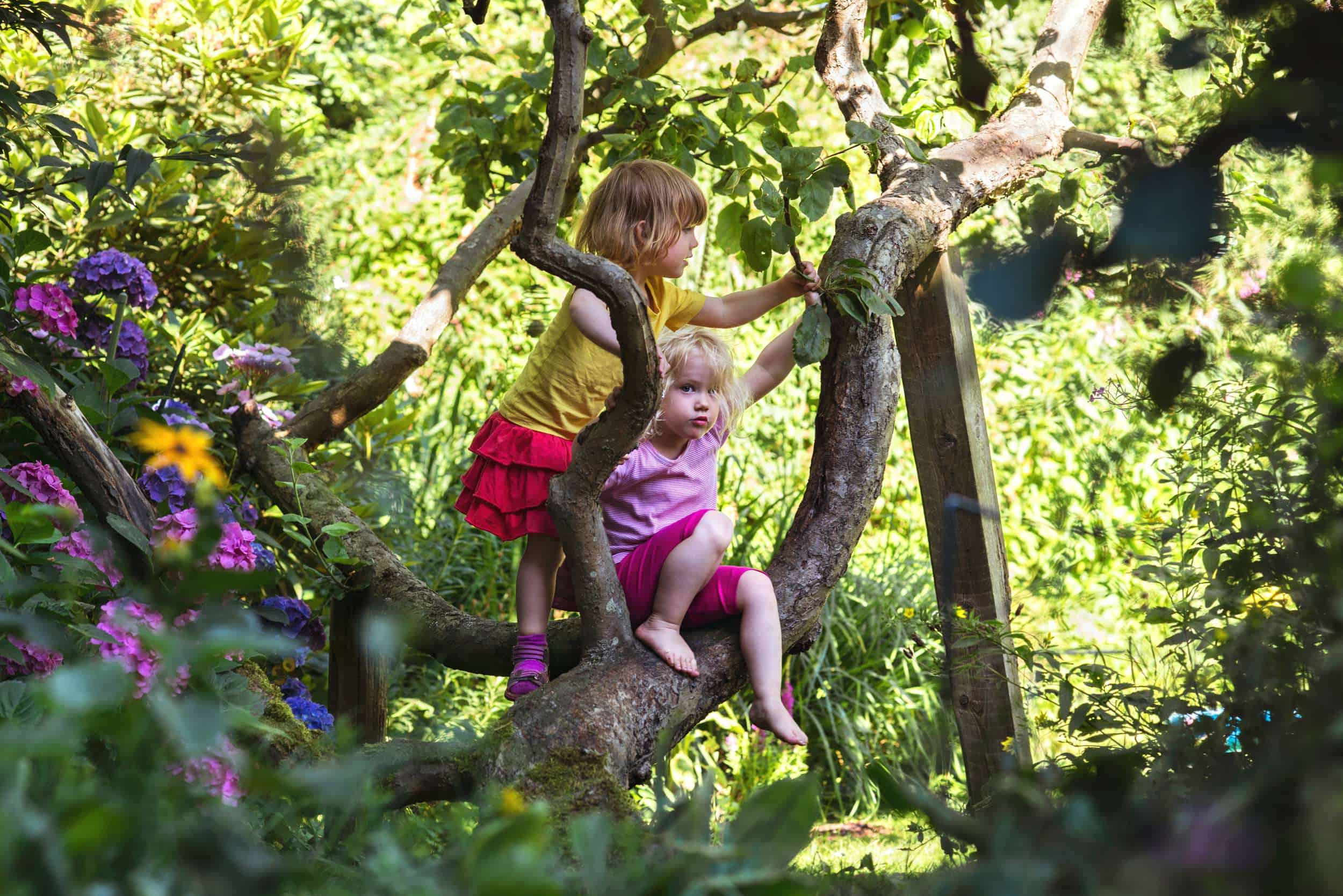 enfants dans un parc