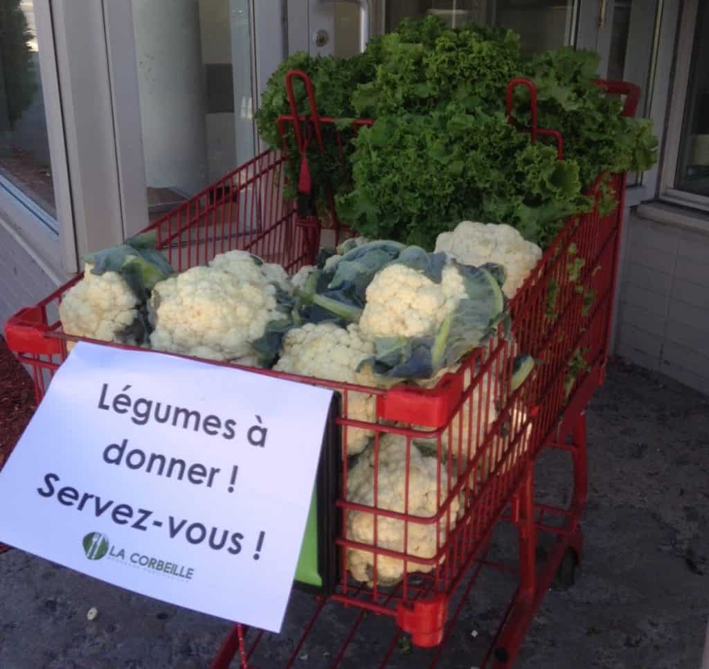 légumes à donner