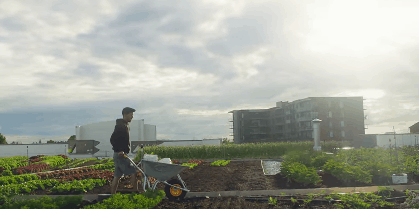 agriculture urbaine IGA duchemin