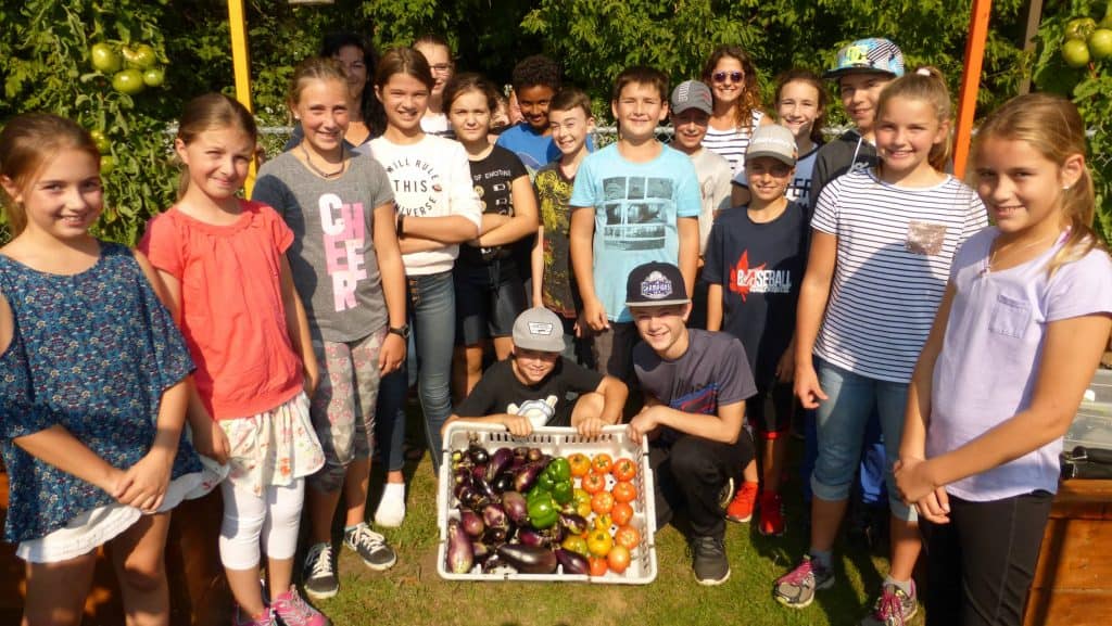 Potager scolaire