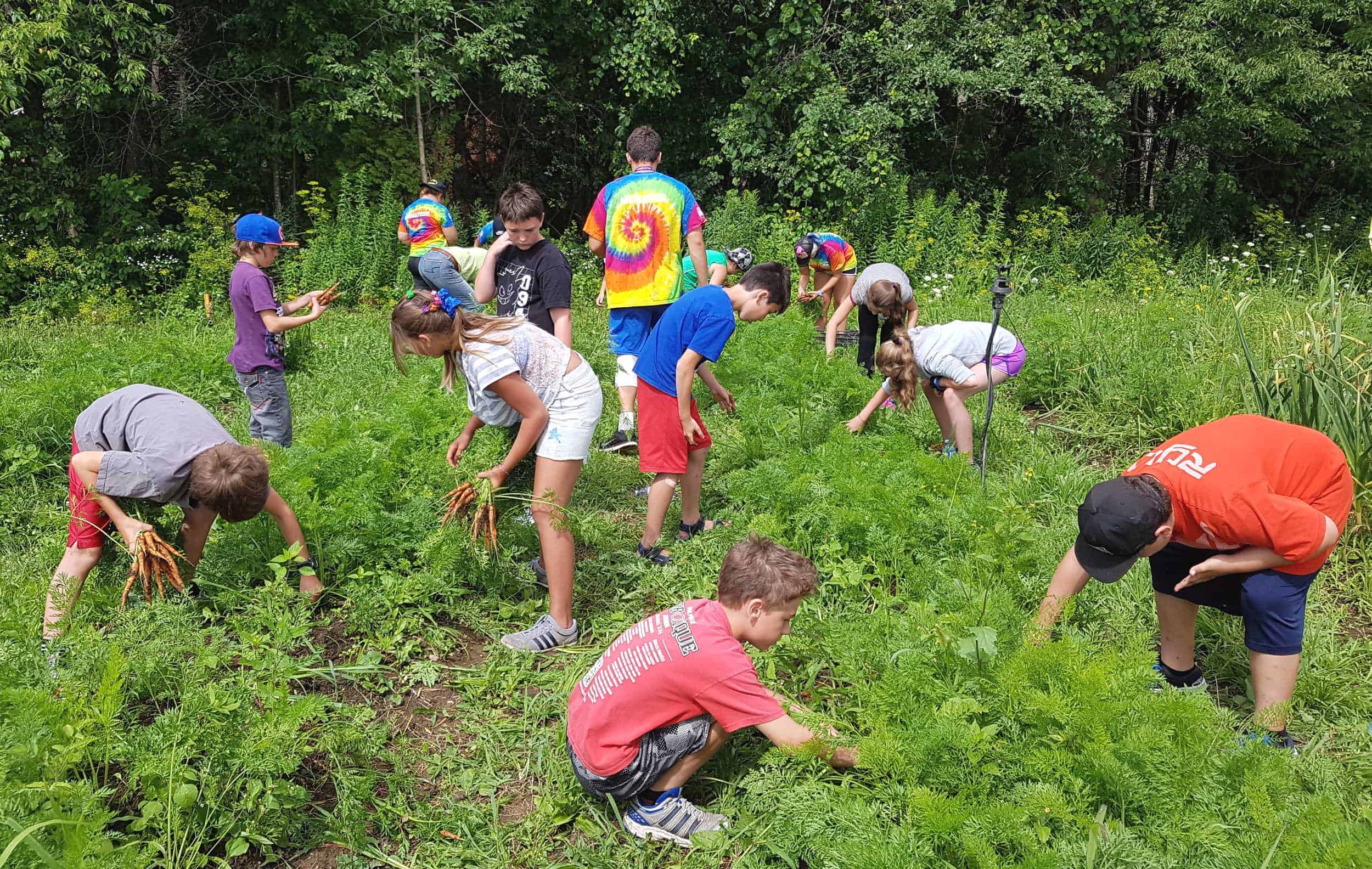 jardin communautaire