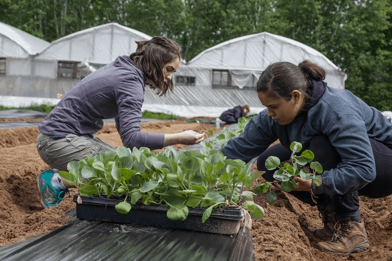 gaspillage alimentaire