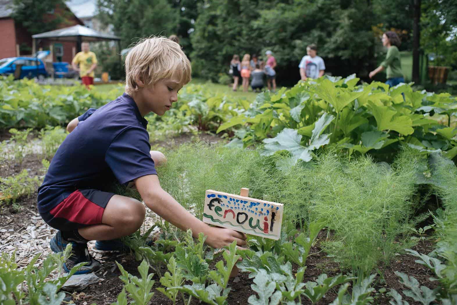 jardin collectif