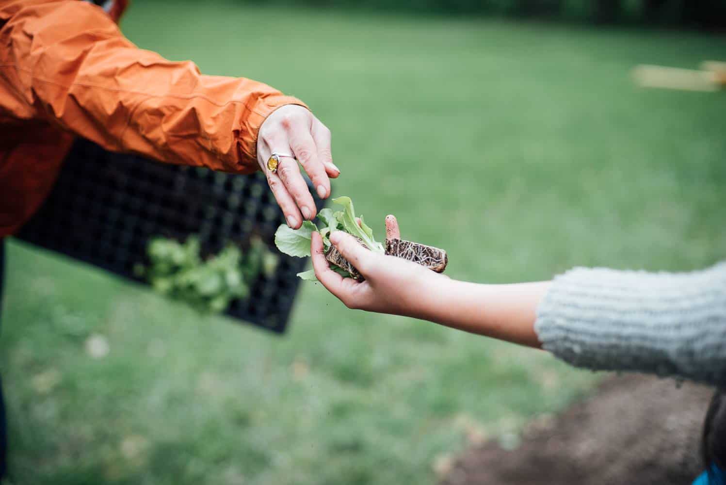 jardin intergénérationnel