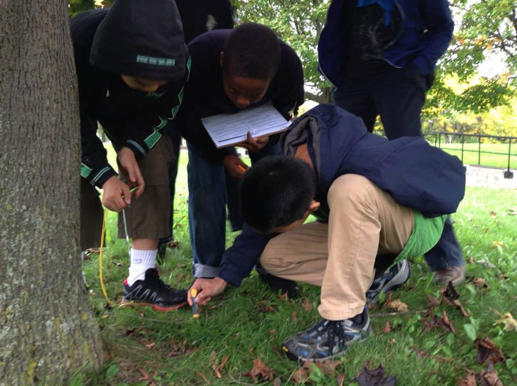 pedagogie plein air