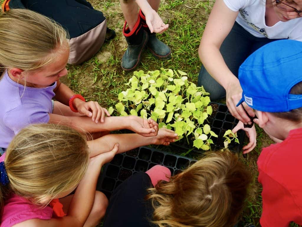 ateliers éducatifs saine alimentation