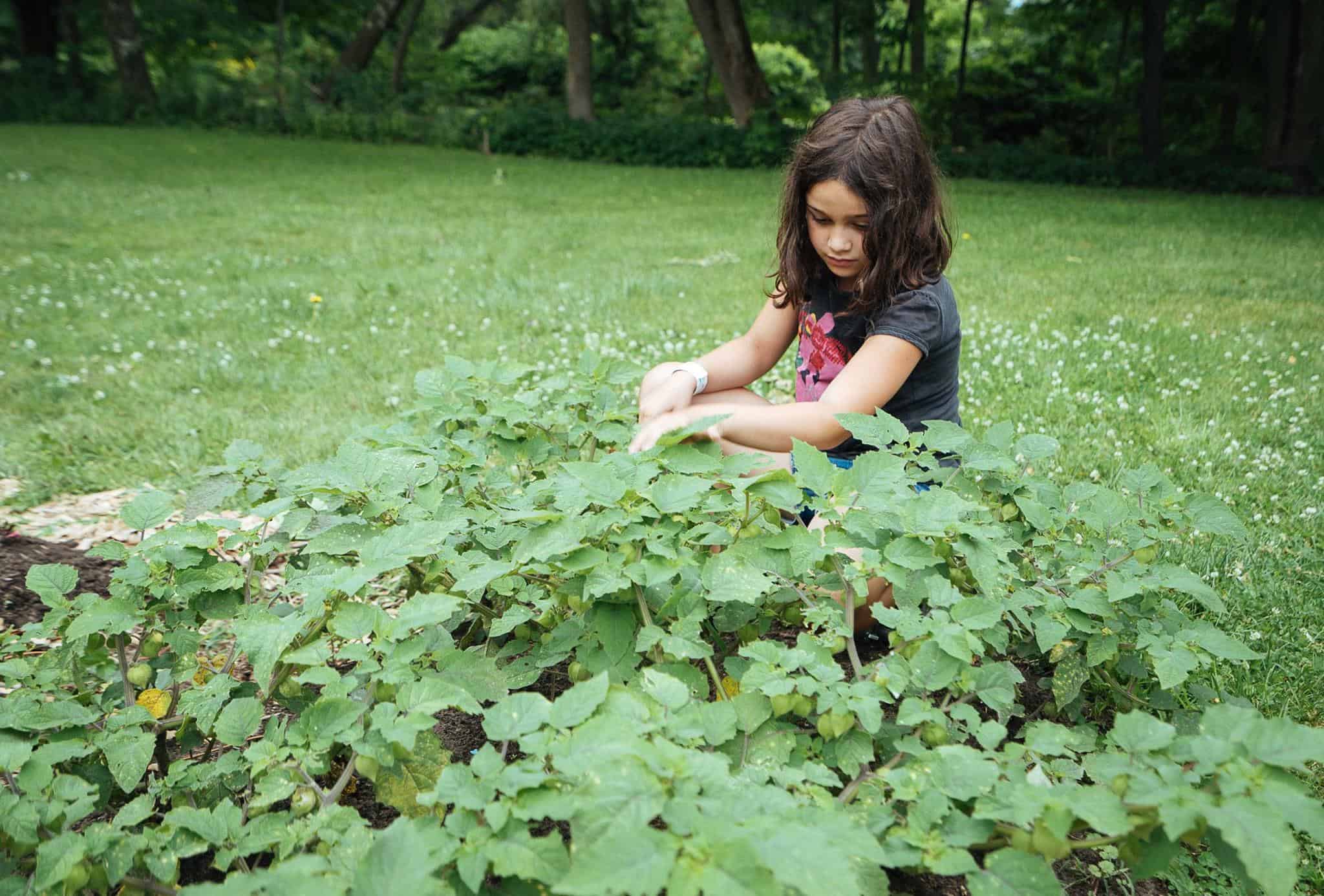 jardin collectif intergénérationnel