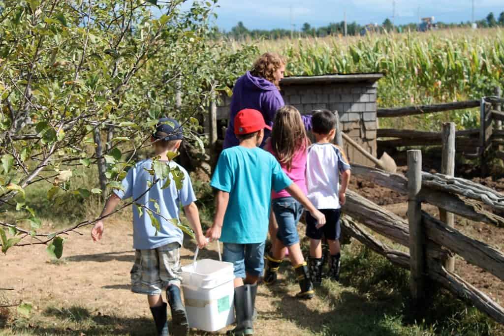 ferme marichel