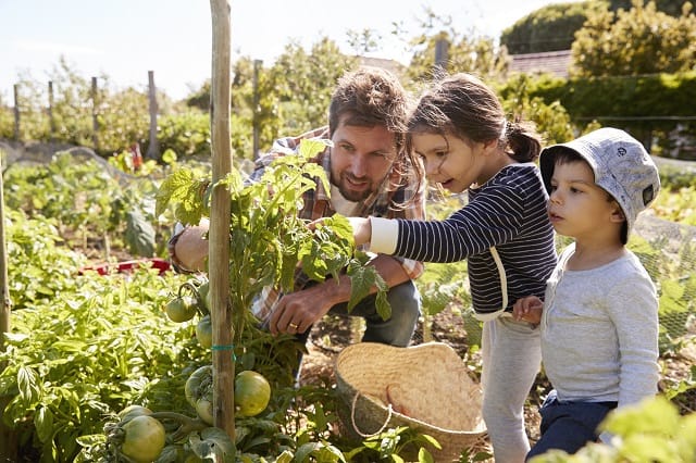 agriculture urbaine famille