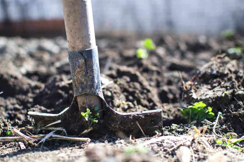 agriculture urbaine