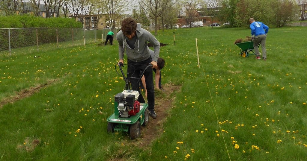 agriculture urbaine