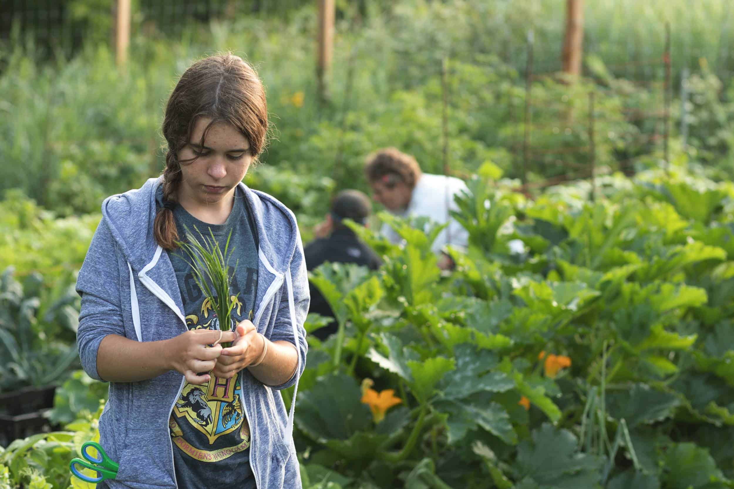 jardin jeunes entrepreneurs Croquarium