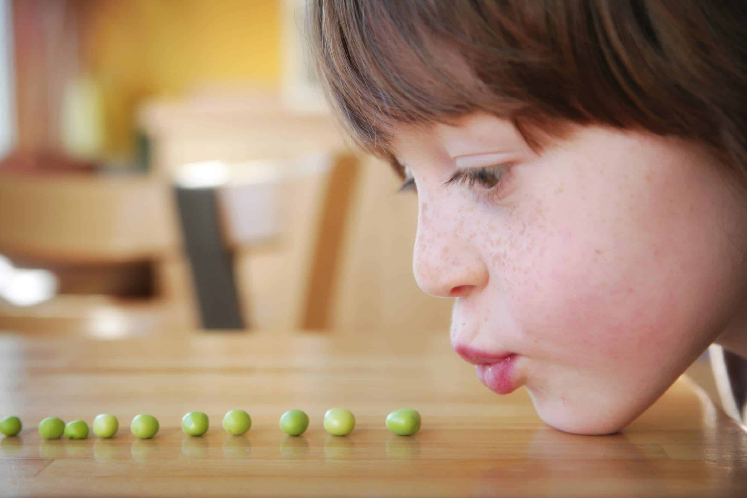 ateliers culinaires à l'école