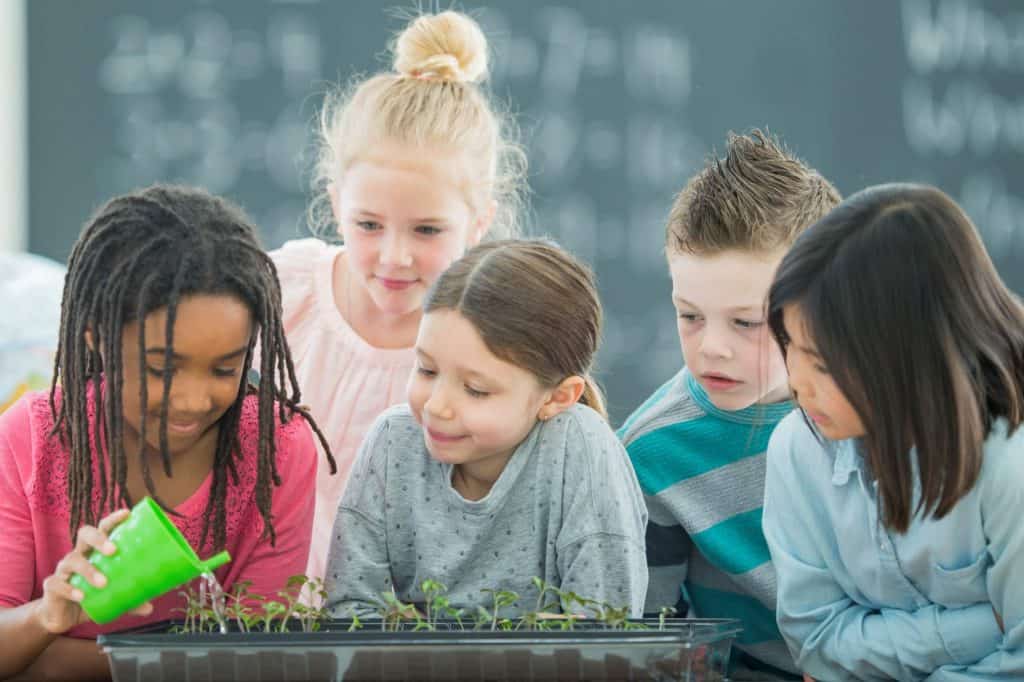 jardin scolaire