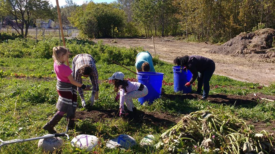 Enfants au jardin Flour Mill Community Farm