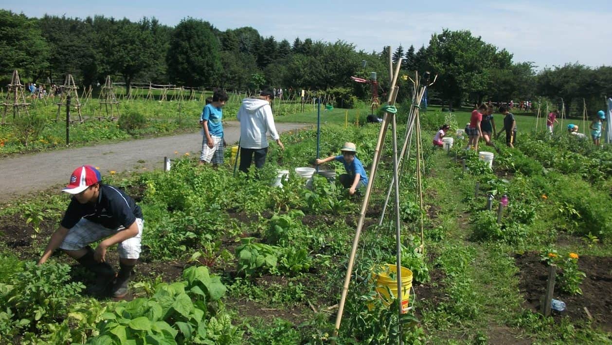 jardin pédagogique