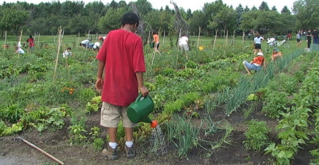 jardin pédagogique