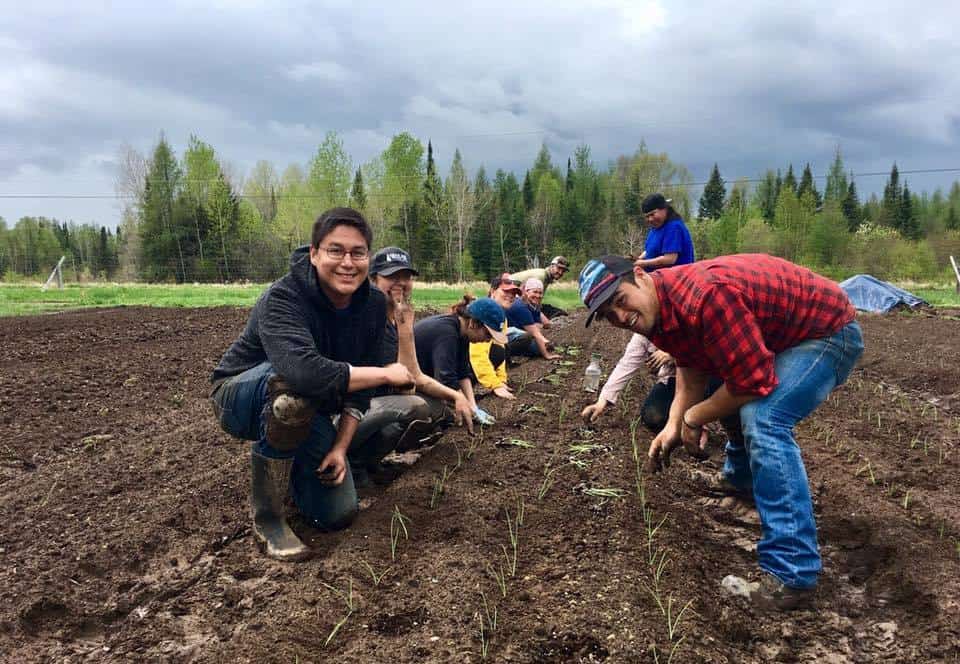 Stages agriculture urbaine Roots to Harvest