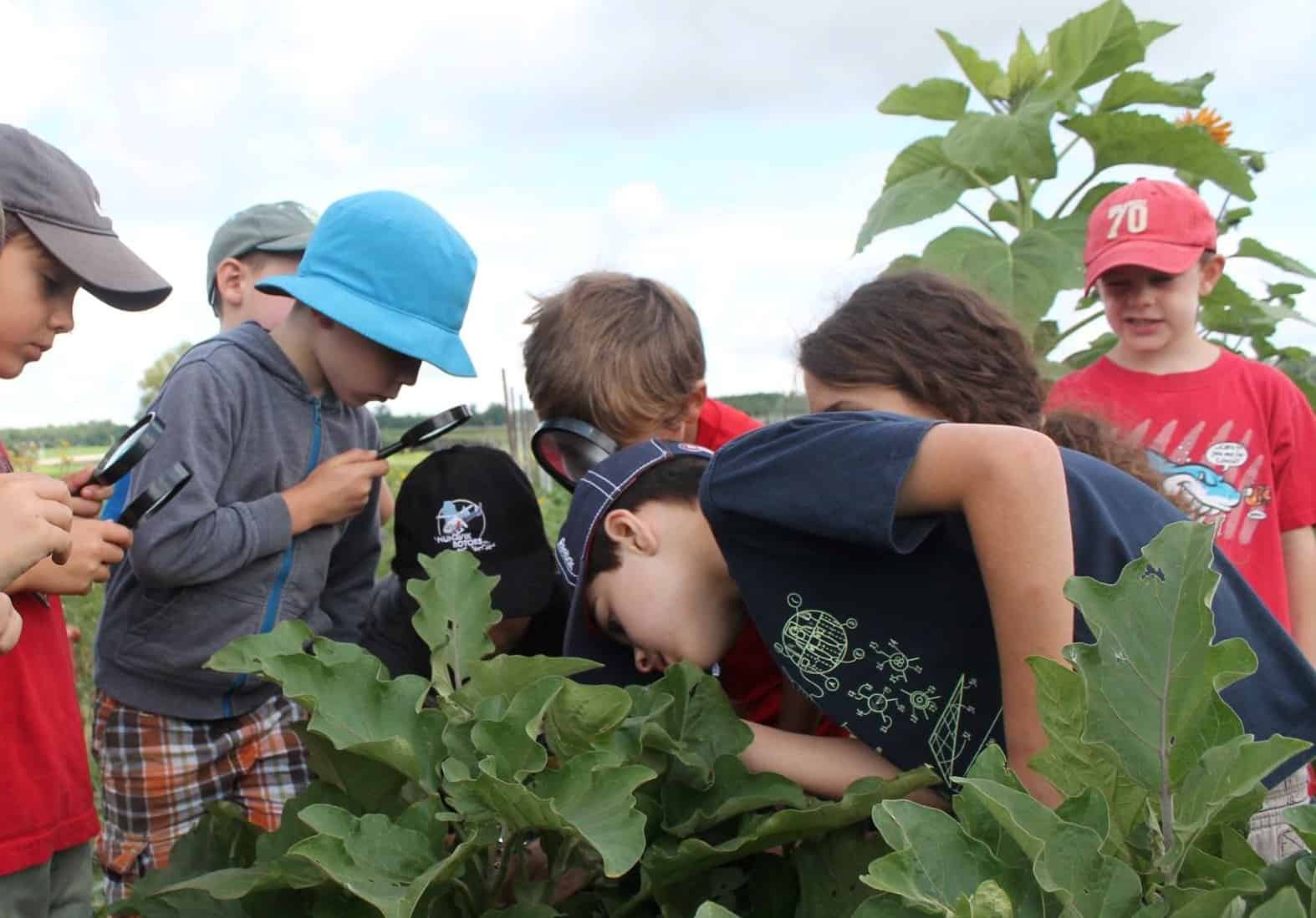 éducation expérientielle agriculture