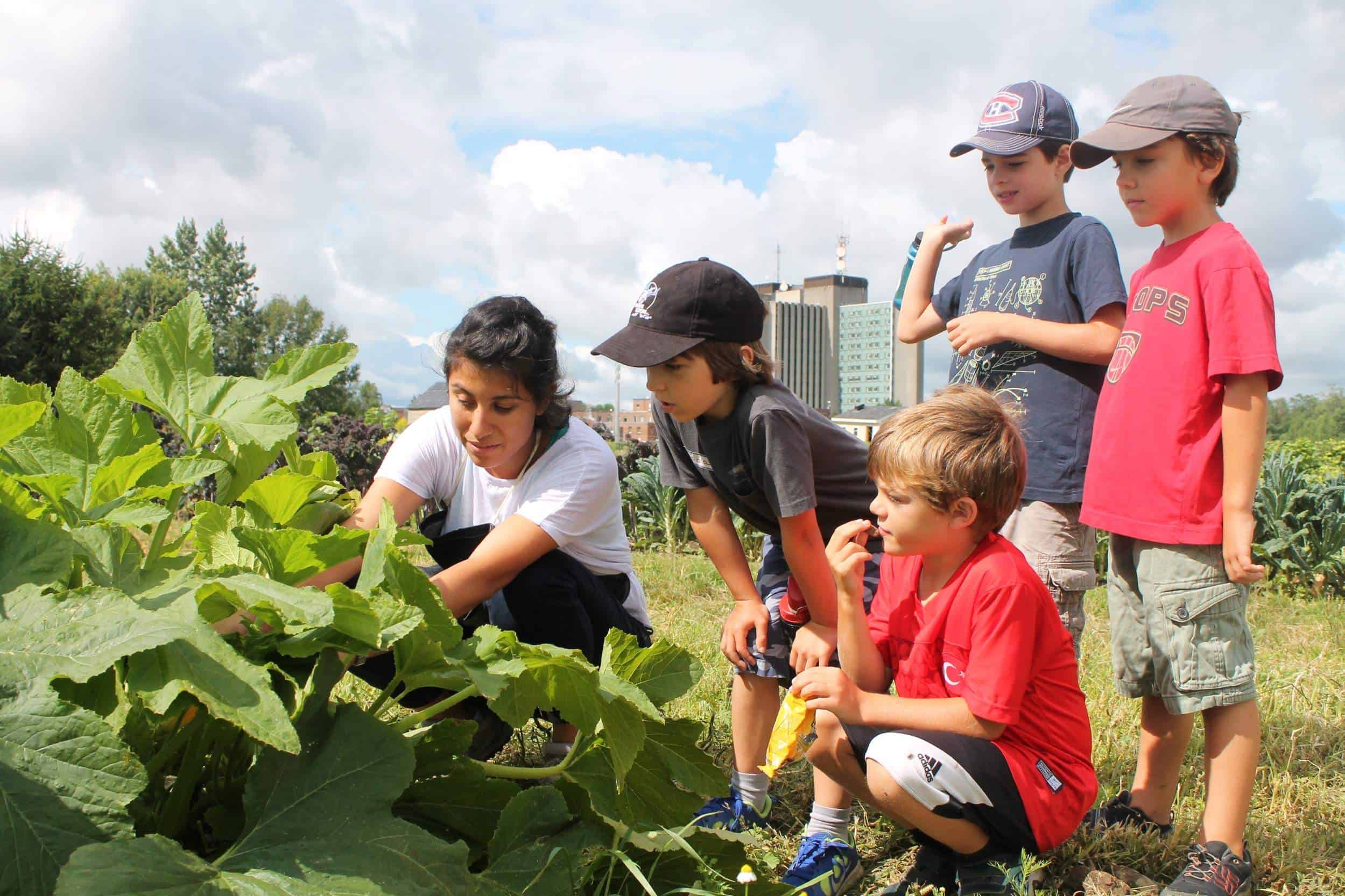 éducation expérientielle agriculture