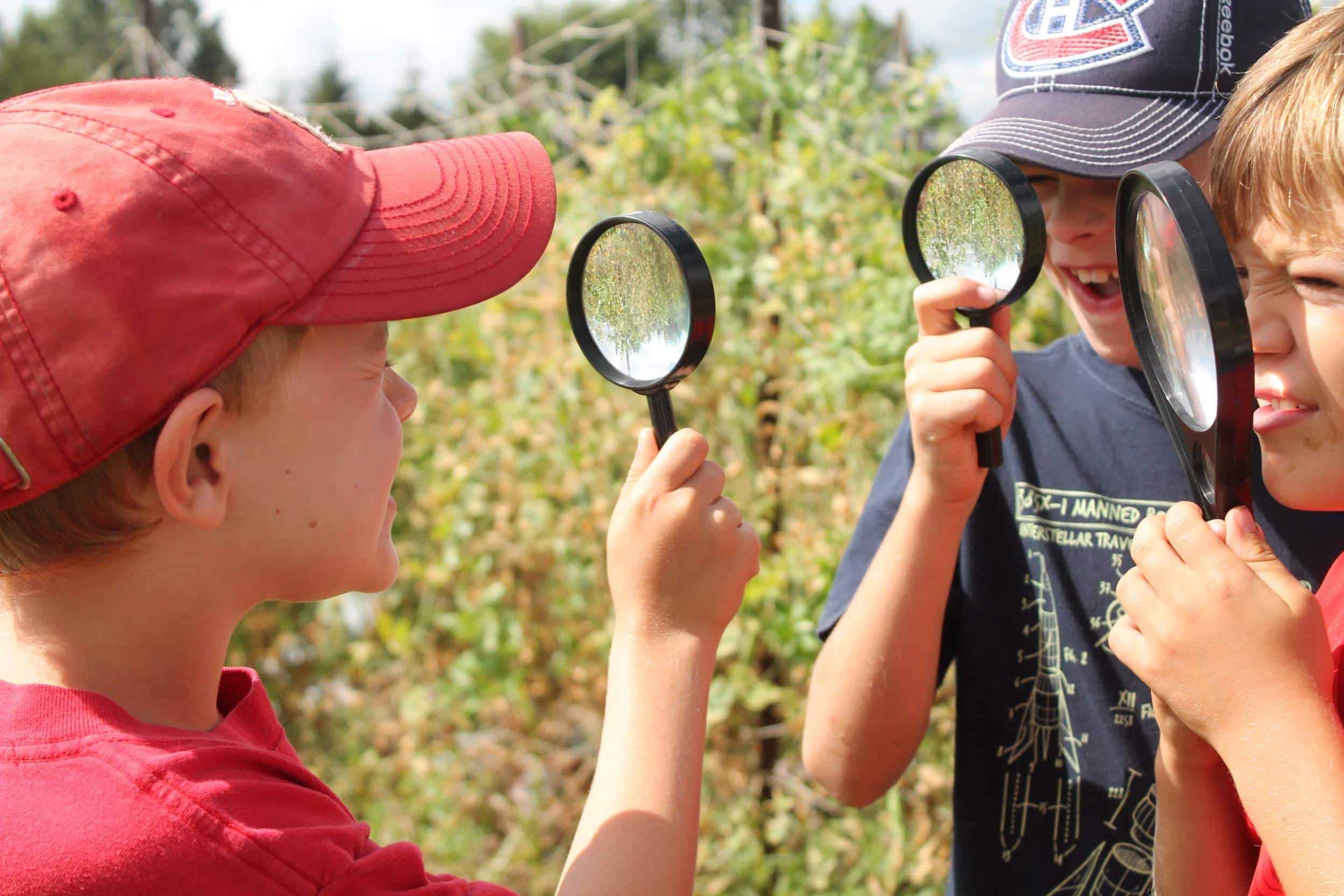 éducation expérientielle agriculture