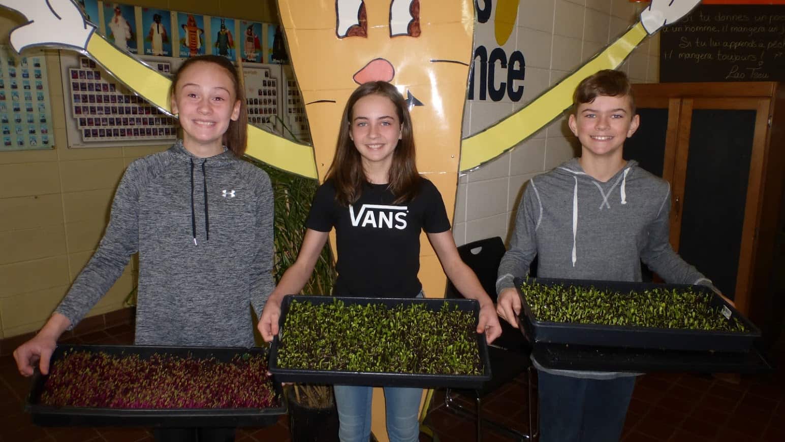 bar à salades école