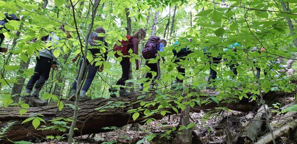 sortie scolaire en plein air