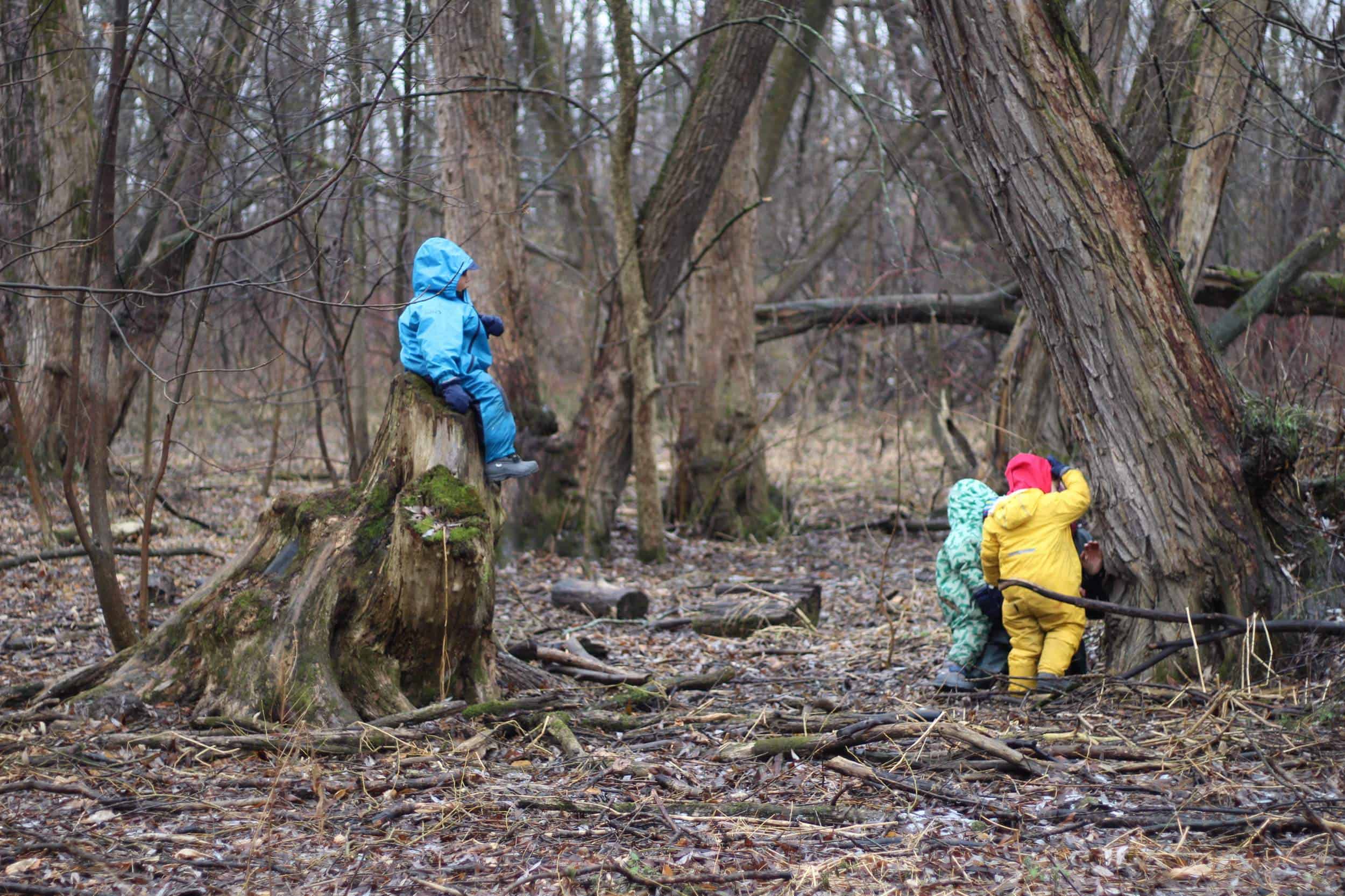 garderies en plein air