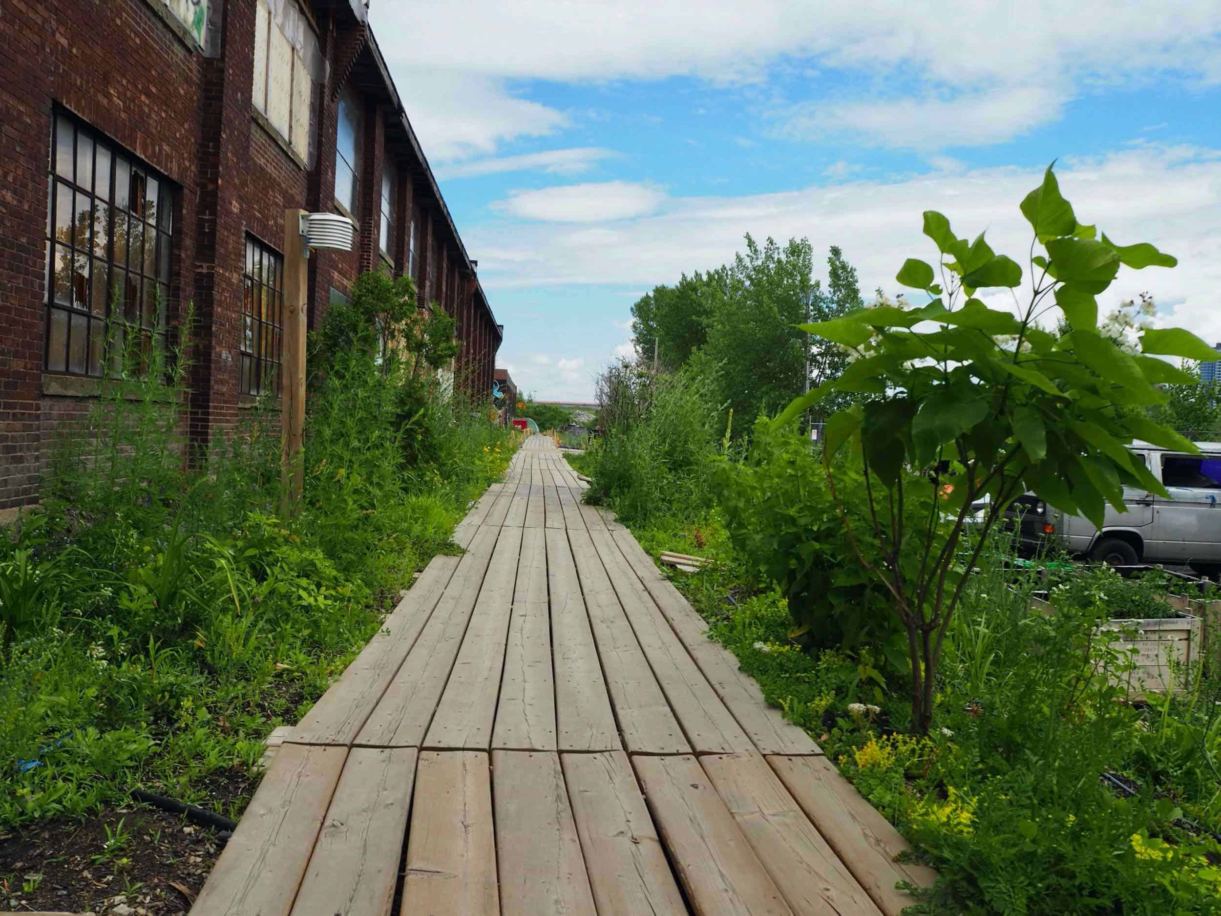 agriculture urbaine