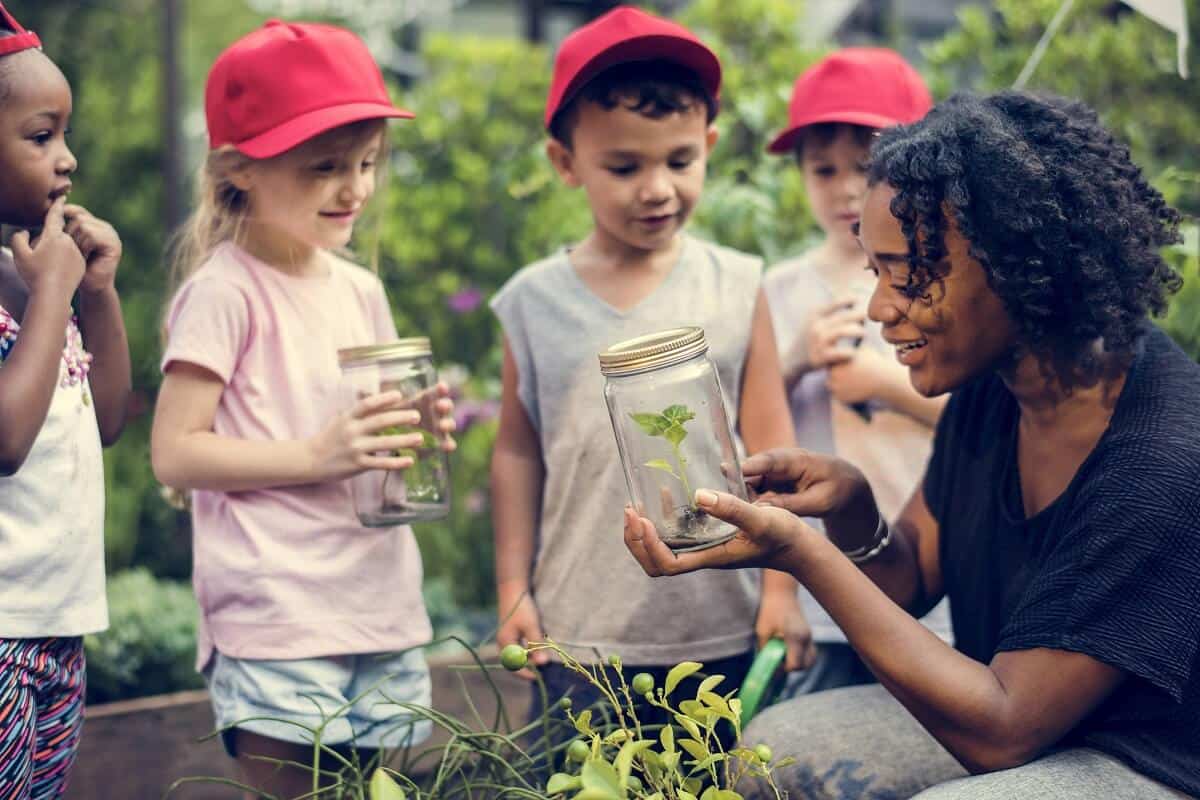 Classe extérieure cueillir et conserver aliments