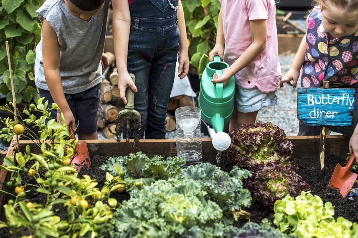 Classe extérieure pédagogie jardin