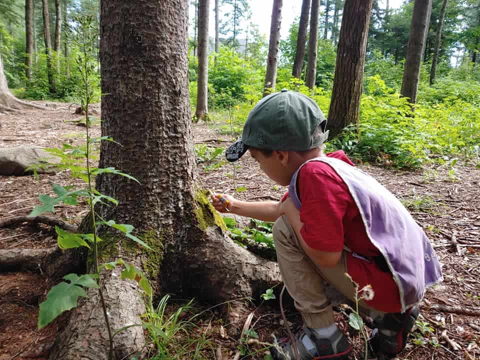 pédagogie en forêt