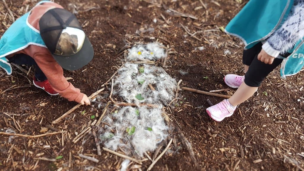 éducation en forêt