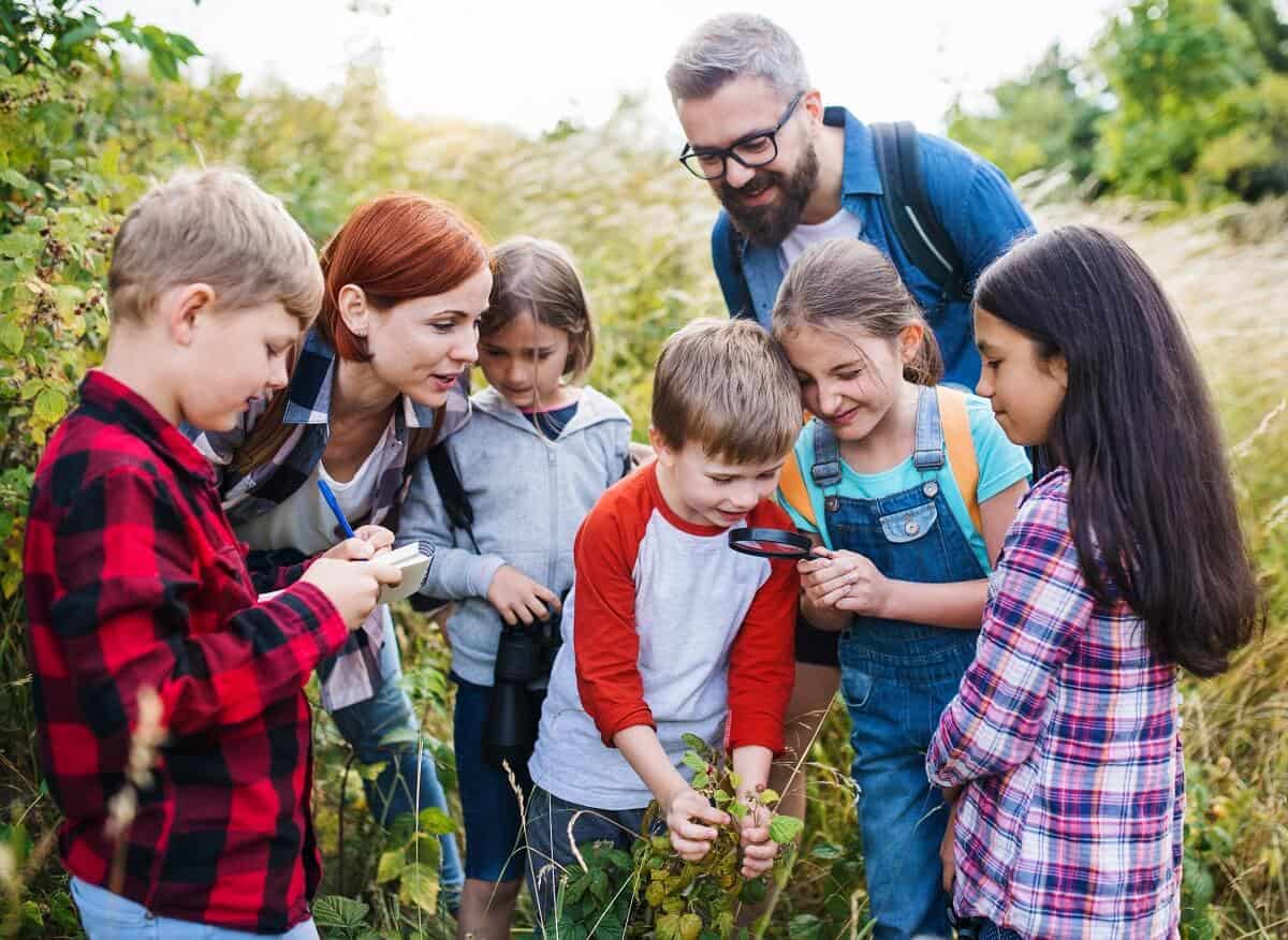 Pédagogie plein air découvrir trésors