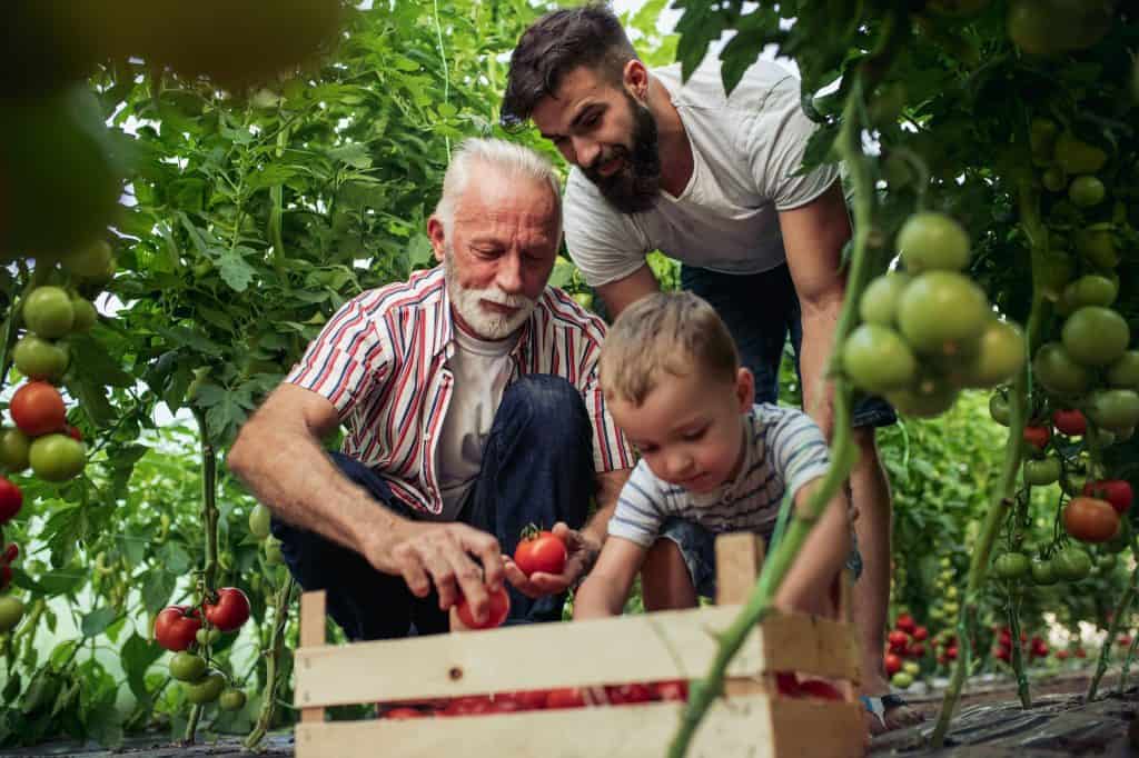 famille qui jardine