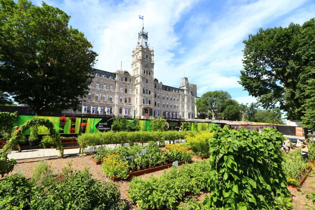 agriculture urbaine