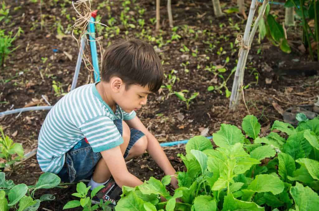 enfant dans un champ