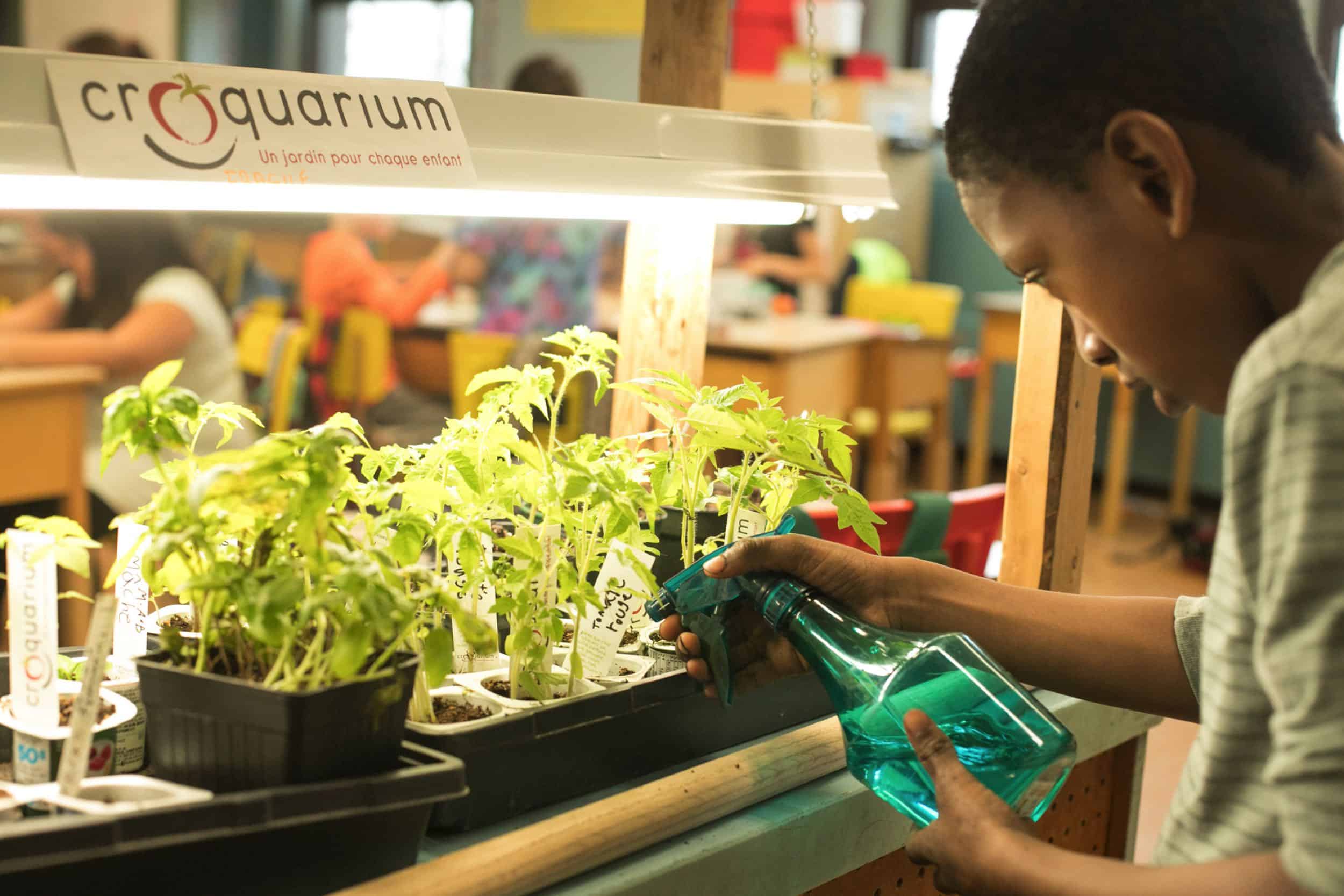 jardinage pedagogique croquarium