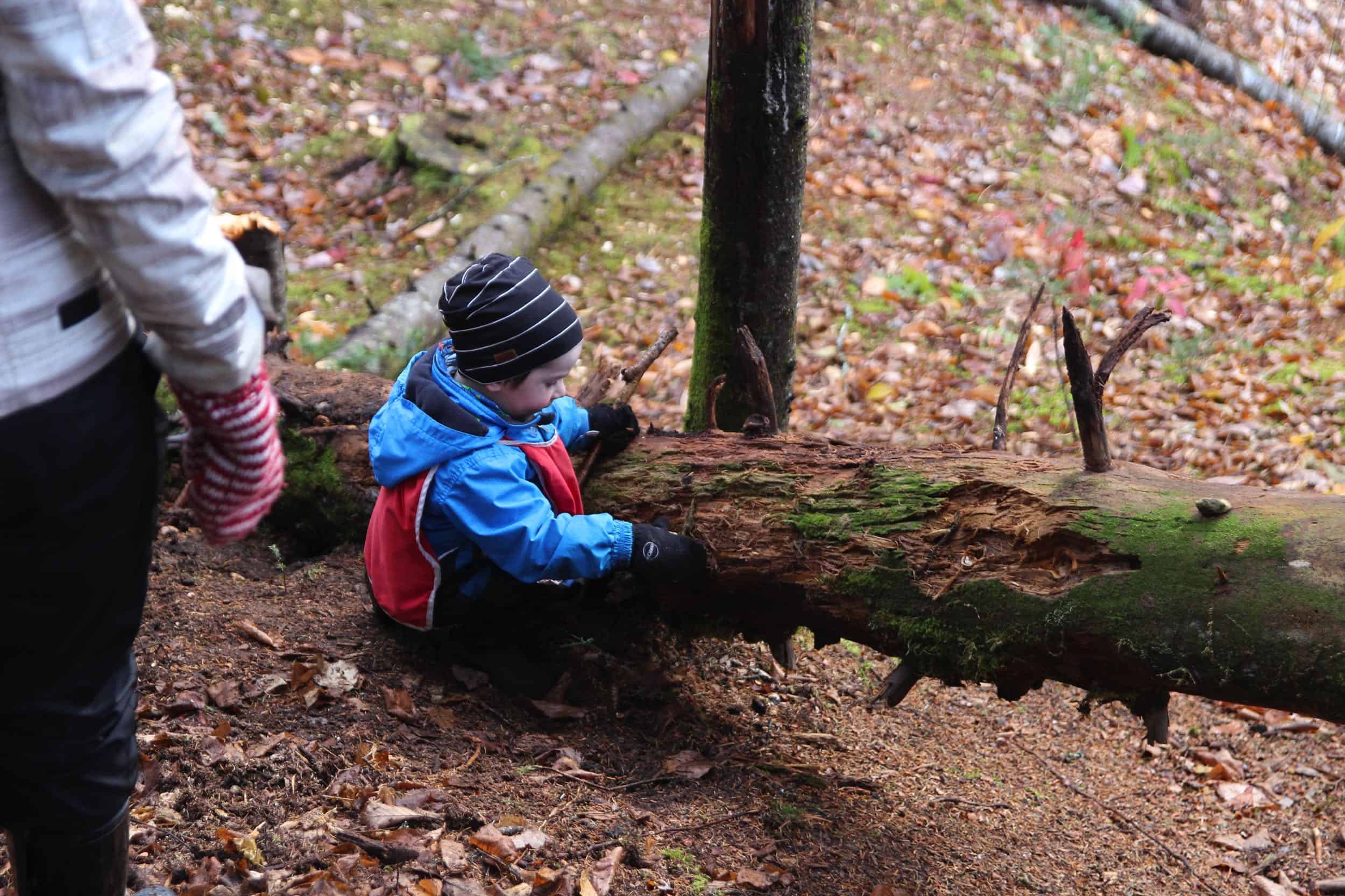 garderie en forêt