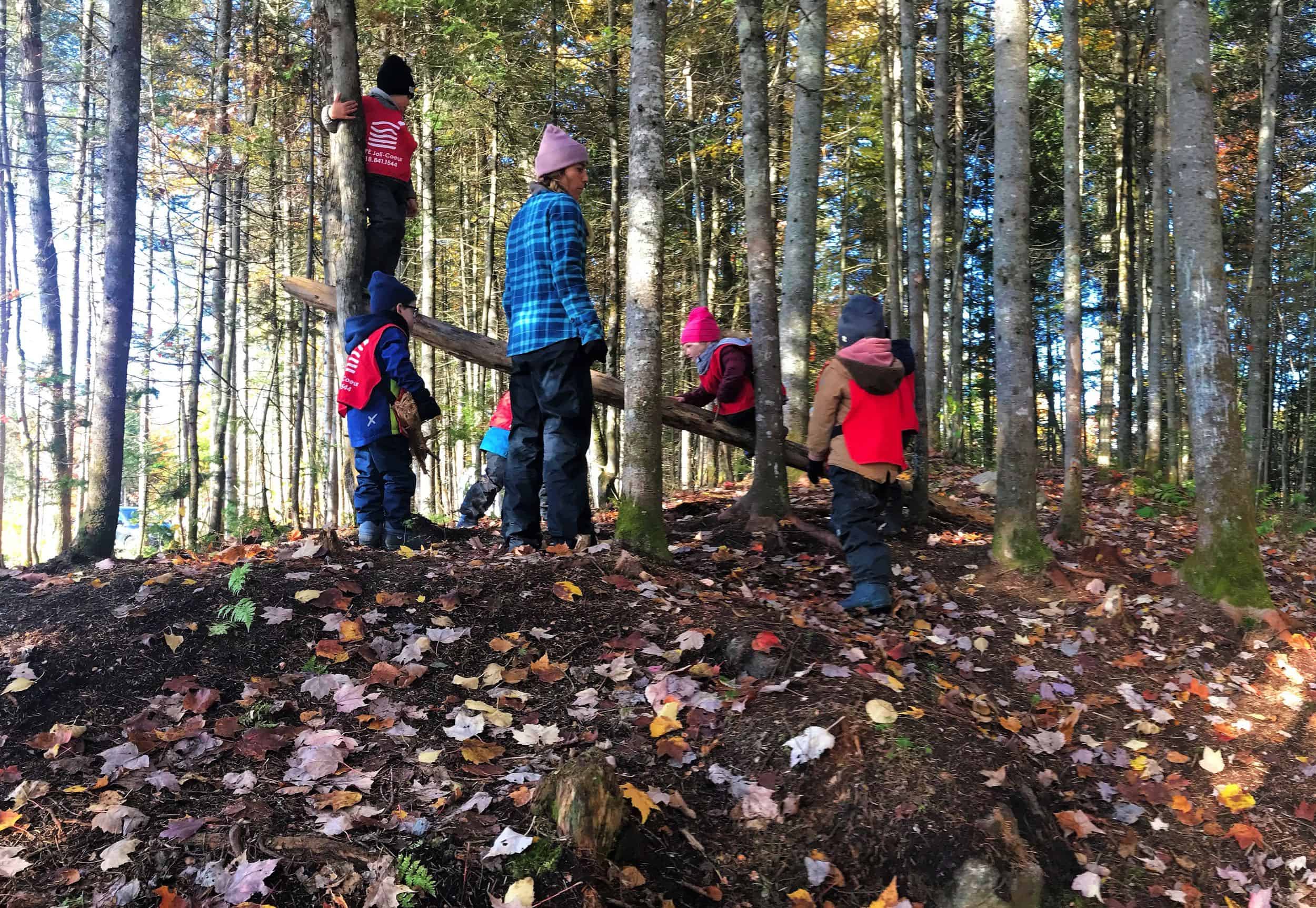 garderie en forêt