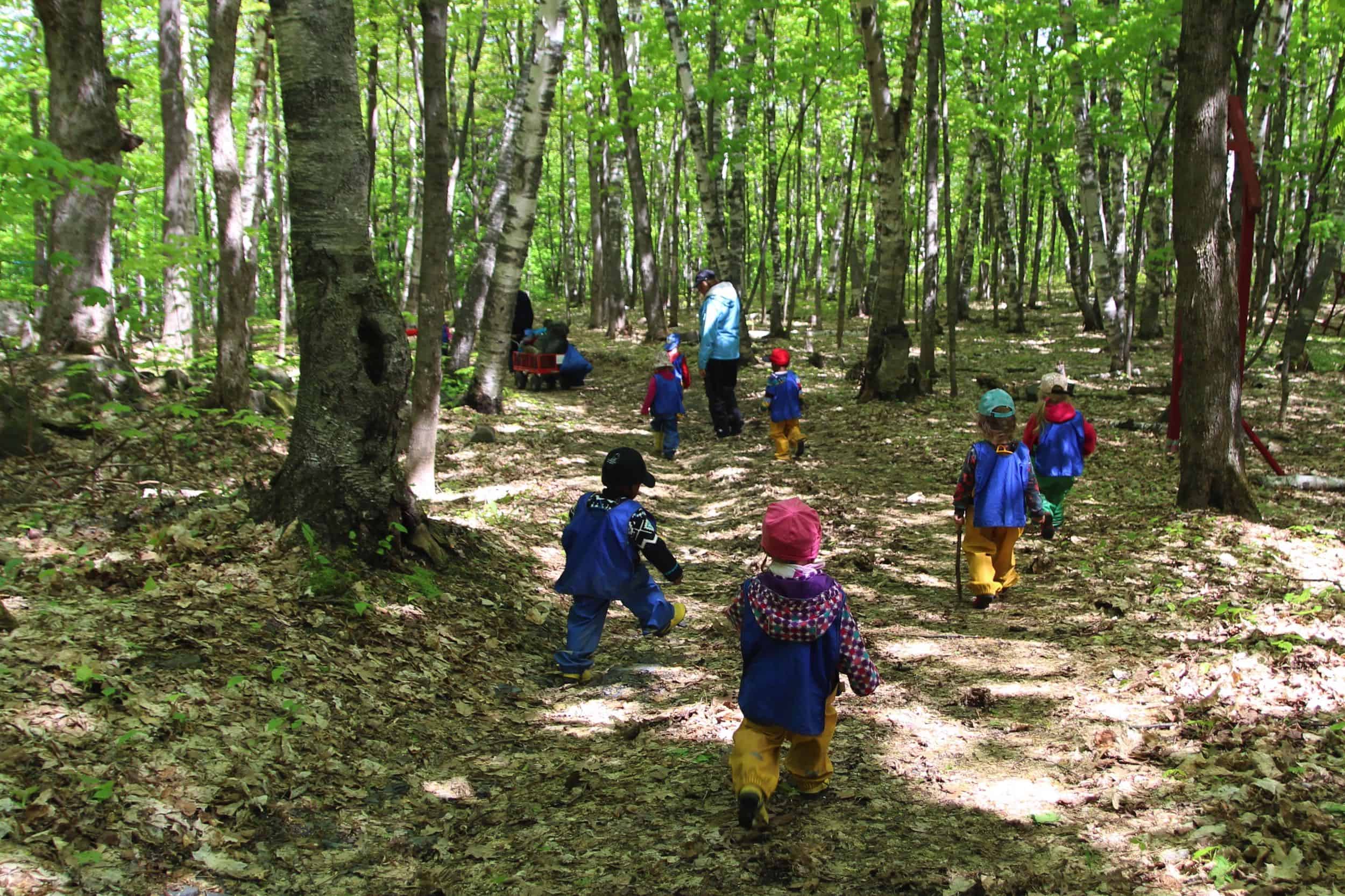 enfants en forêt