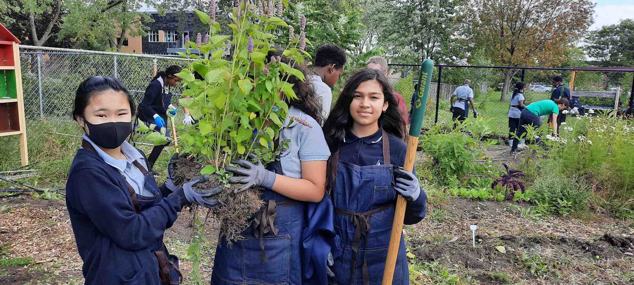 programme en agriculture urbaine