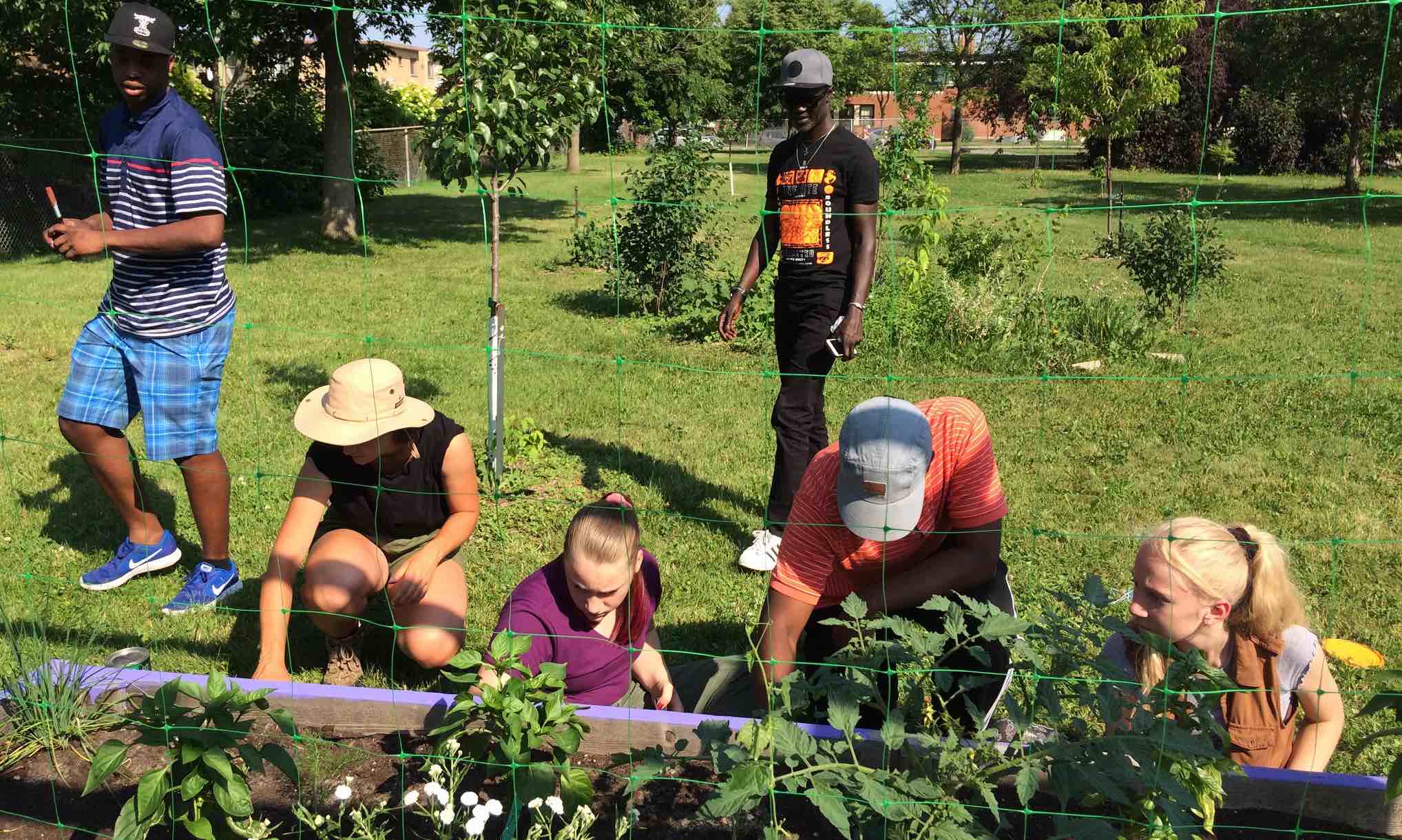 agriculture urbaine a l'ecole